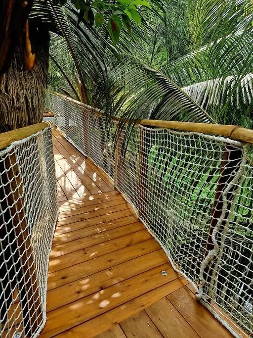 Pura Vida Lodge Sainte-Rose Guadeloupe