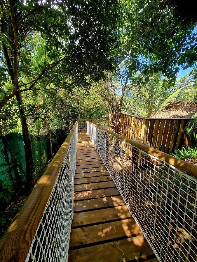 Pura Vida Lodge Sainte-Rose Holiday home